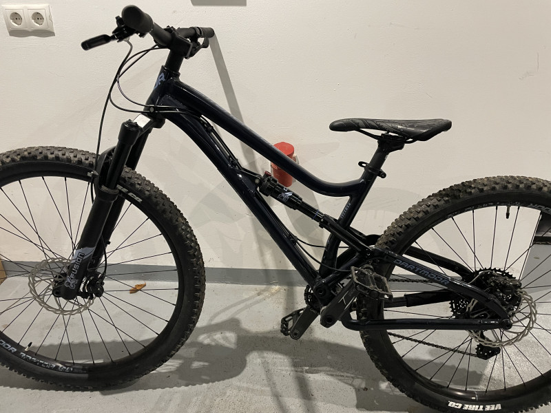 Dartmoor Bluebird Intro mullet