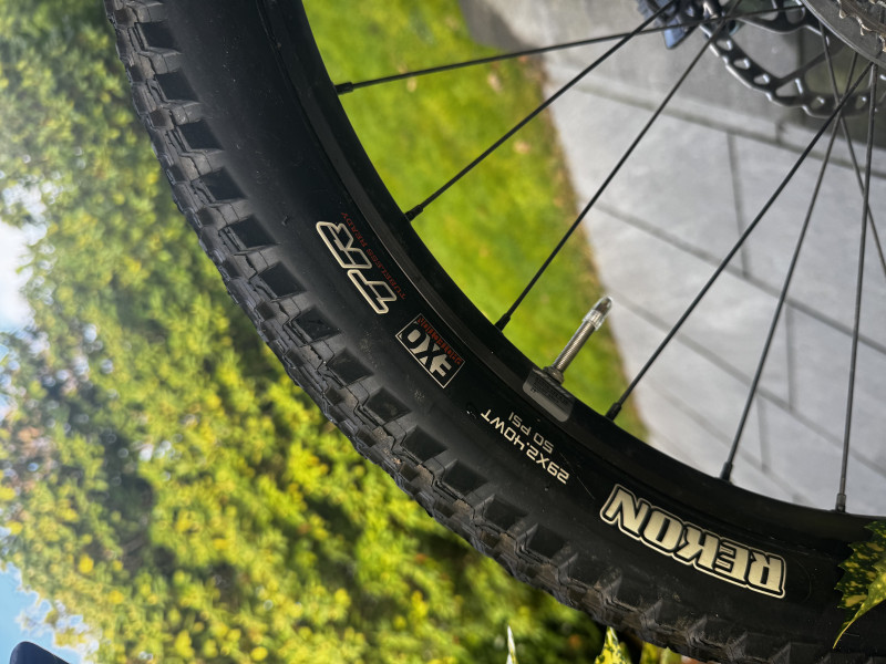 Neues Focus Thron 6.9 green 2022 RH-XL