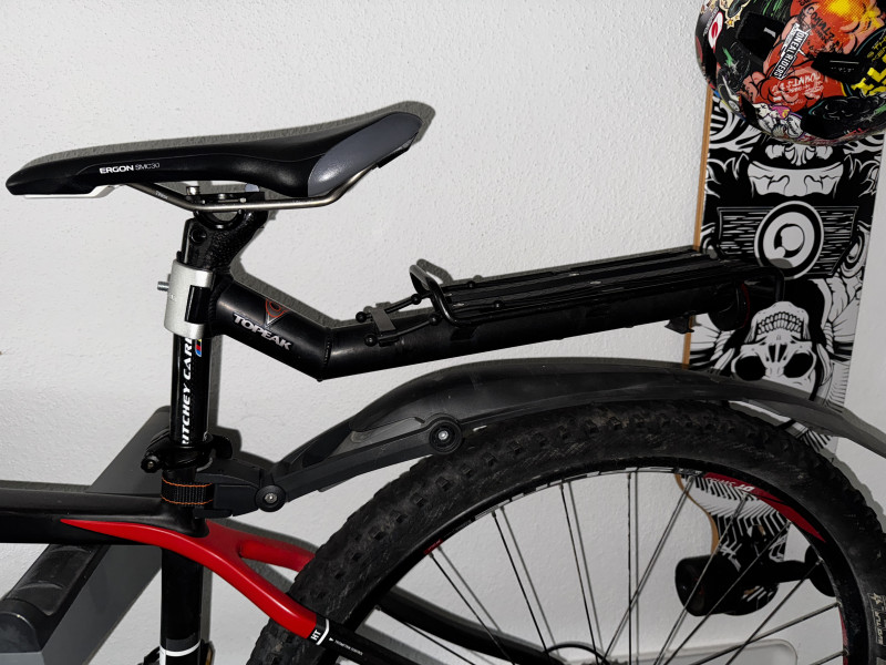 Rotwild R2 29 Hardtail Race L Mountainbike Bike Rad Carbon HT