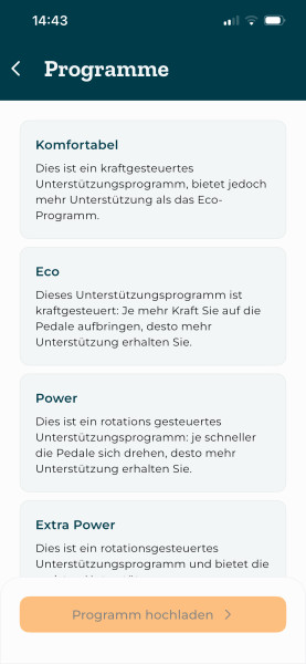 VanRaam Sitz E-Dreirad - Easy Rider (Modell 3)