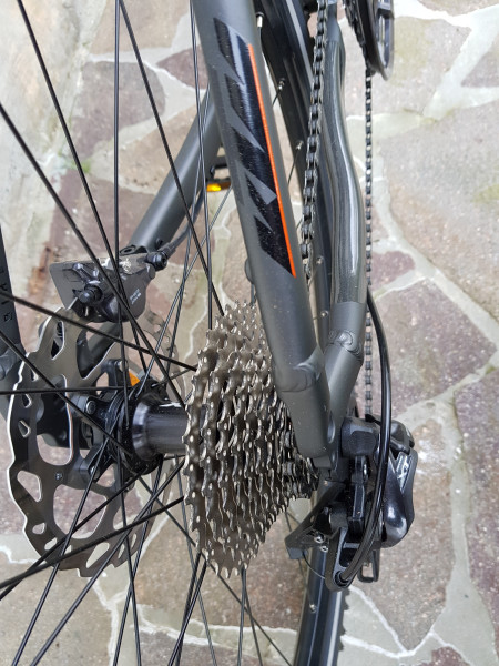 KTM X-Live-Race 46 cm , 2024