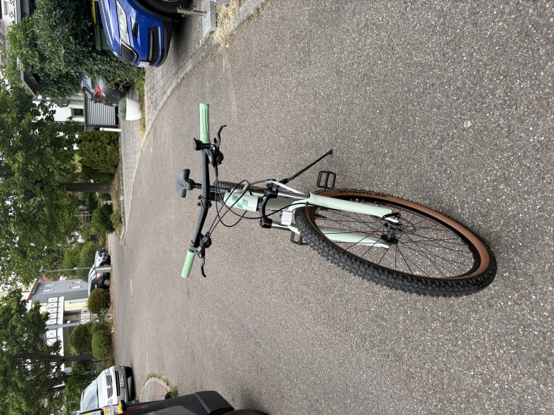 Cube Access WS Mountainbike
