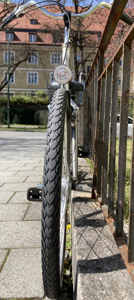 Stadtfahrrad Bavaria Line Lizzard für Damen, 26 Zoll, Nabenschaltung, Nabendynamo, Korb, Beleuchtung