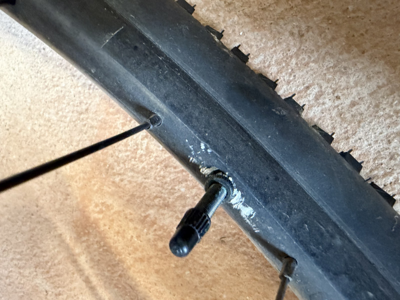 Trek Procaliber 9.6