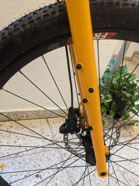 Brother Big Bro Stahl MTB, DT SWISS Laufräder mit SON Nabendynamo 1x12, NEUwertig L Adventure Bike, Reiserad