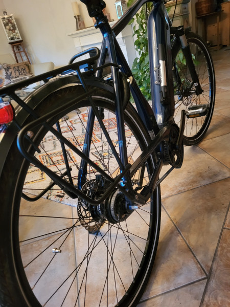 Gudereit ET10 EVO Alfine  Beltdrive