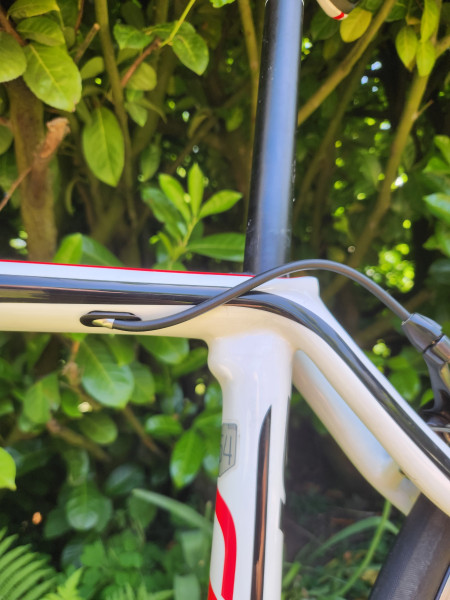 Cannondale 700 M Synapse Carbon 5 T Größe 54 cm Rennrad Damen