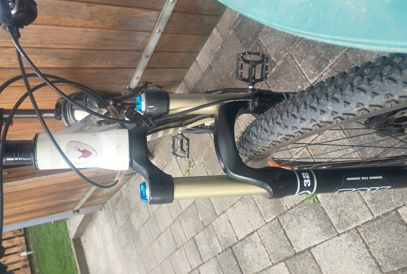 Rotwild C1 EVO cross-country 29'' Gr. L fully carbon. 14.6 kg
