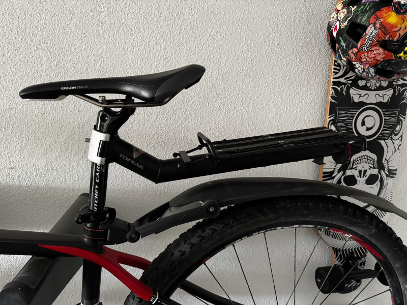 Rotwild R2 29 Hardtail Race L Mountainbike Bike Rad Carbon HT