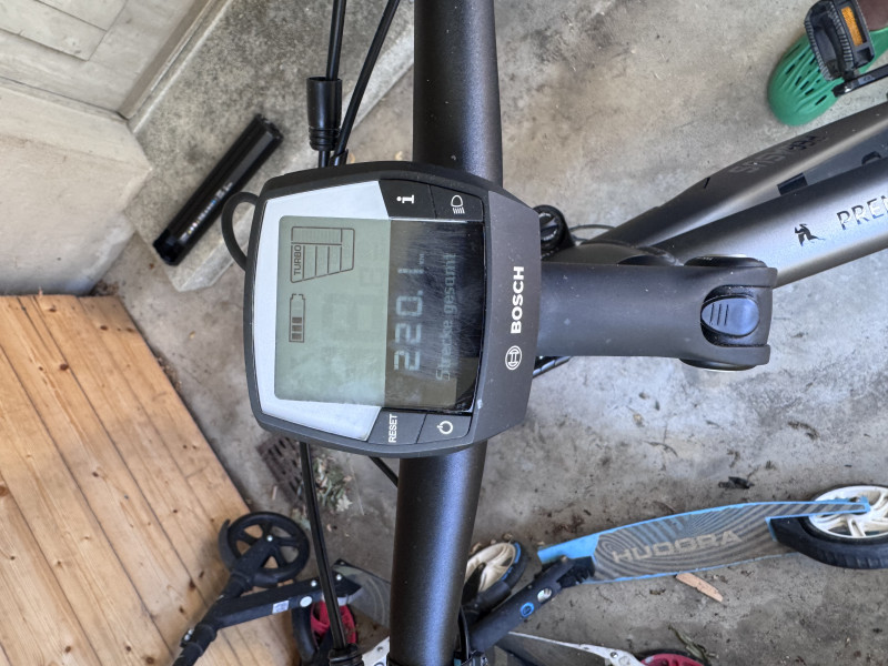 Pegasus Premio EVO 10 Lite – Herren (230km)
