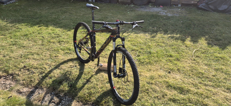 29er Hardtail MTB Felt Nine 1, Carbon, L (18,5) aus 2017