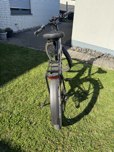 Cannondale Tesoro Neo X2