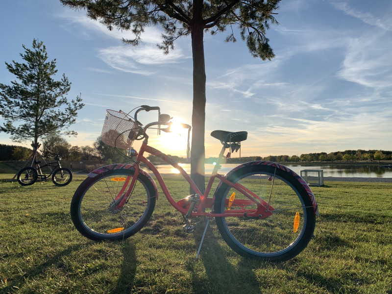 Electra Morningstar Beach-Cruiser / Damenrad / City Bike