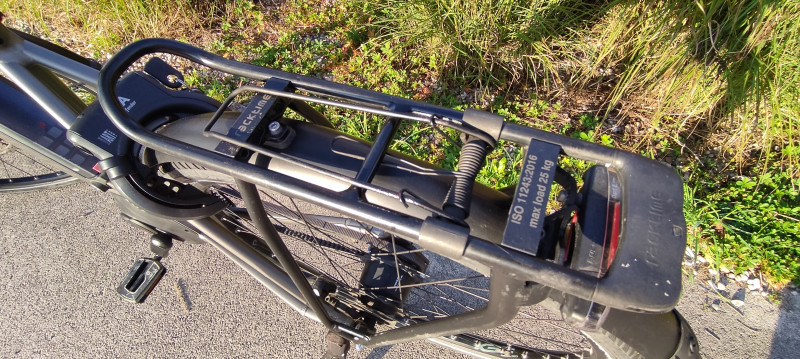 Raleigh Kent Premium günstiges Trekking E Bike mit Riemenantrieb