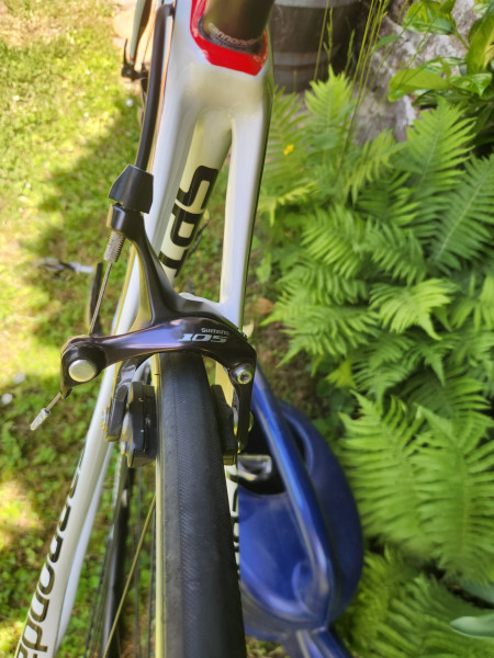 Cannondale 700 M Synapse Carbon 5 T Größe 54 cm Rennrad Damen