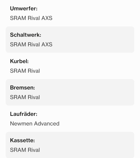 Neuster Artikel