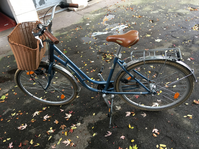 Damen "Vermont Saphire"28z Alu 7gang Nexus Korb Techn.u.Optisch sehr gut