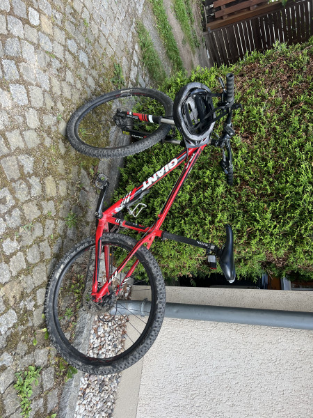 Giant Mountainbike