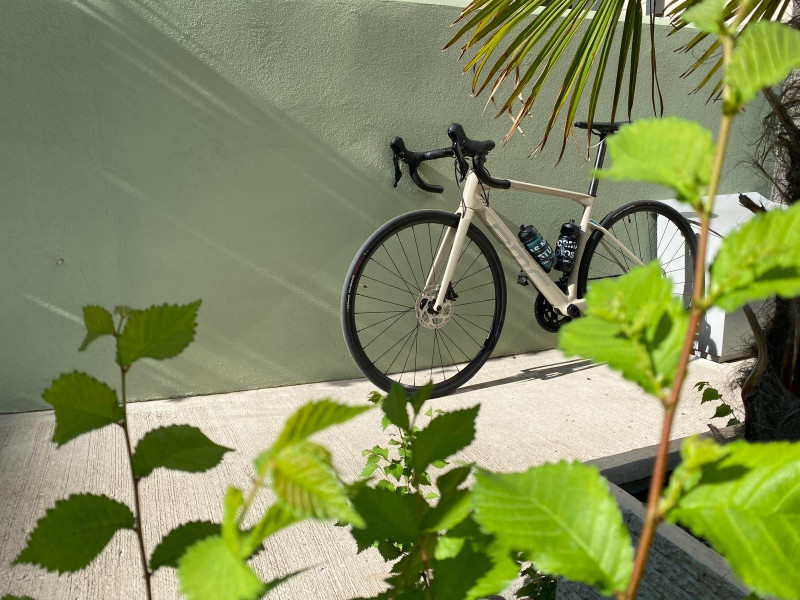 BMC Rennrad Roadmachine SIX, Shimano 105, Gr. 51