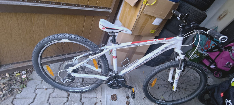 Centurion backfire 50