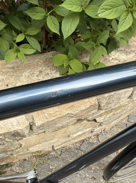 Verkaufe: Schindelhauer Ludwig VIII (Gates Carbon Drive)