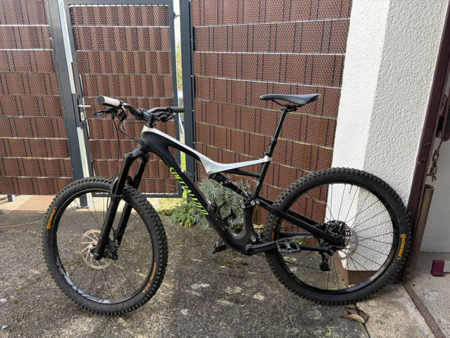 Neuster Artikel