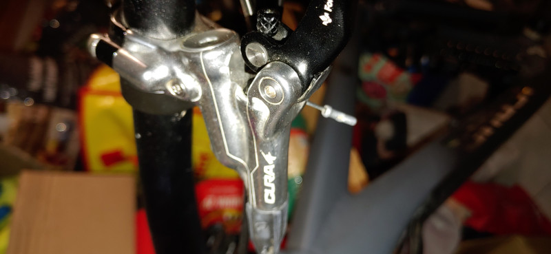 Ghost riot 29 Zoll full party