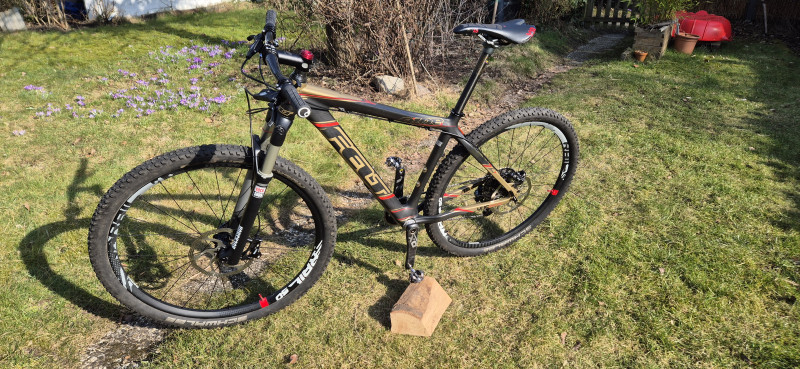 29er Hardtail MTB Felt Nine 1, Carbon, L (18,5) aus 2017