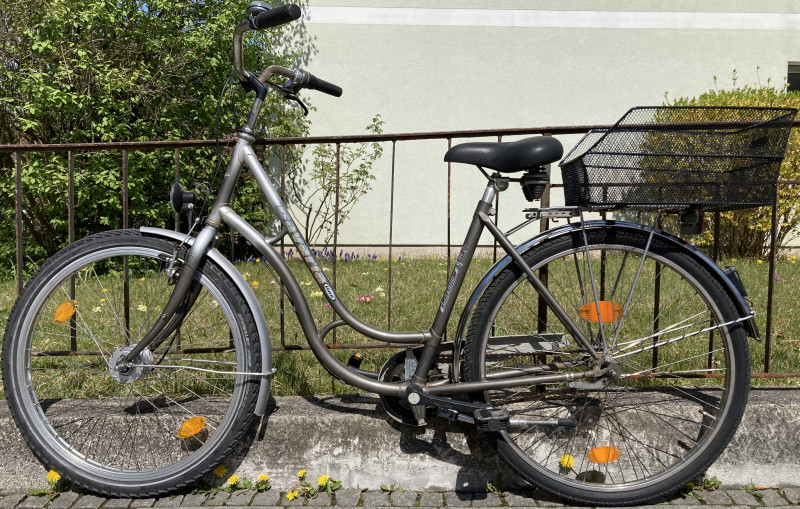 Stadtfahrrad Bavaria Line Lizzard für Damen, 26 Zoll, Nabenschaltung, Nabendynamo, Korb, Beleuchtung