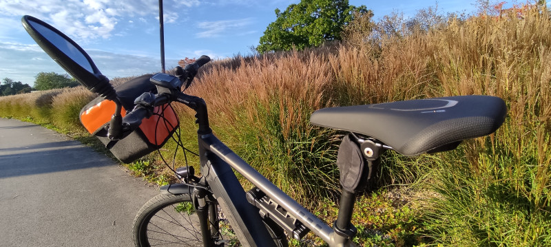 Raleigh Kent Premium günstiges Trekking E Bike mit Riemenantrieb