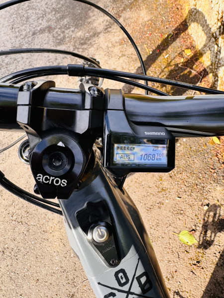 2 Akkus Downhill Canyon Torque:ON 7 Modell 2022 –Stealth– Gr. M