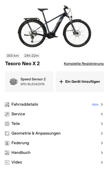 Cannondale Tesoro Neo X2