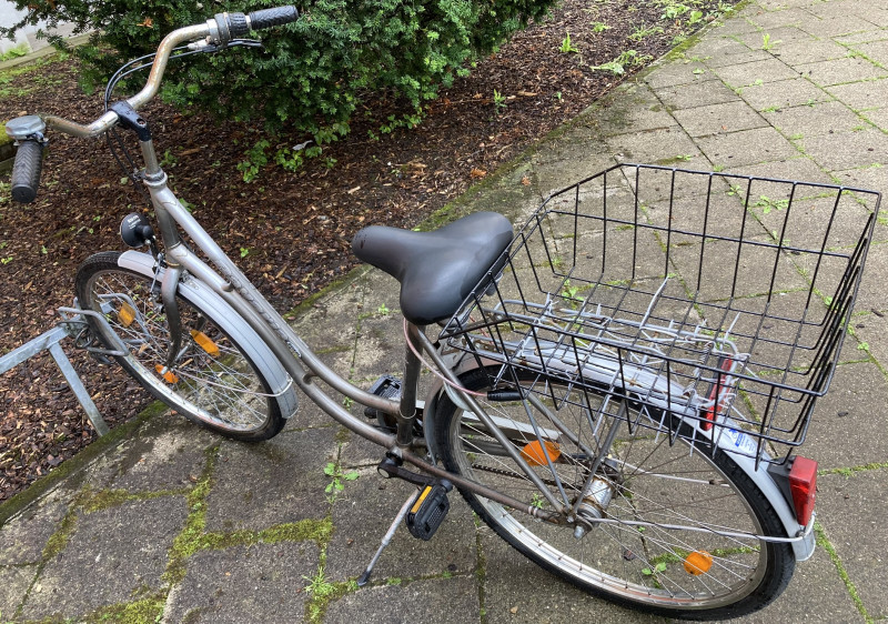 Stadtfahrrad Bavaria Line Lizzard für Damen, Nabenschaltung, Beleuchtung, Korb
