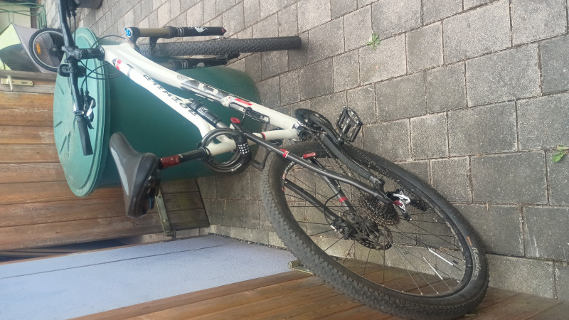 Rotwild C1 EVO cross-country 29'' Gr. L fully carbon. 14.6 kg