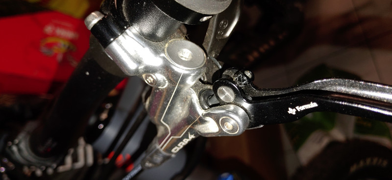 Ghost riot 29 Zoll full party