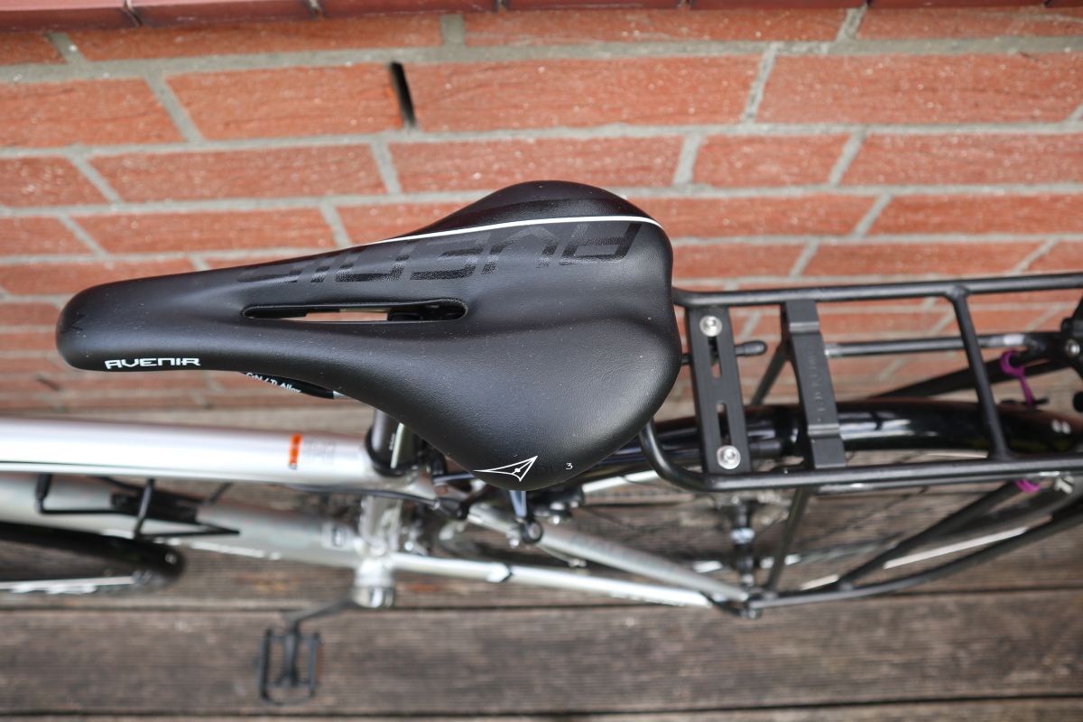 raleigh capri 3.0