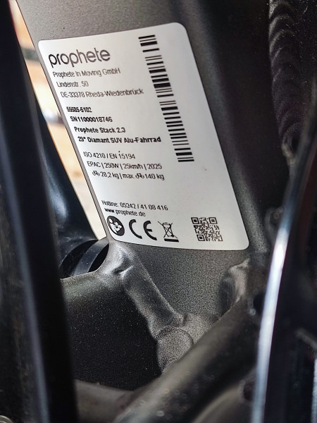 Trecking E-Bike Prophete Stack 2.3 neuwertig