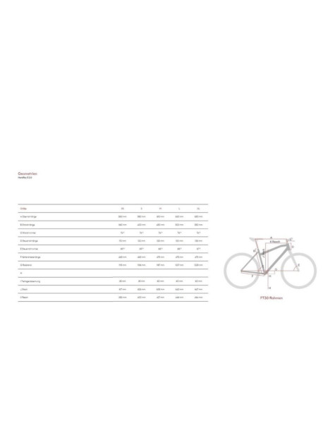 Raymon HardRay E 2.0 T350 - 500 Wh - 29 Zoll - Diamant