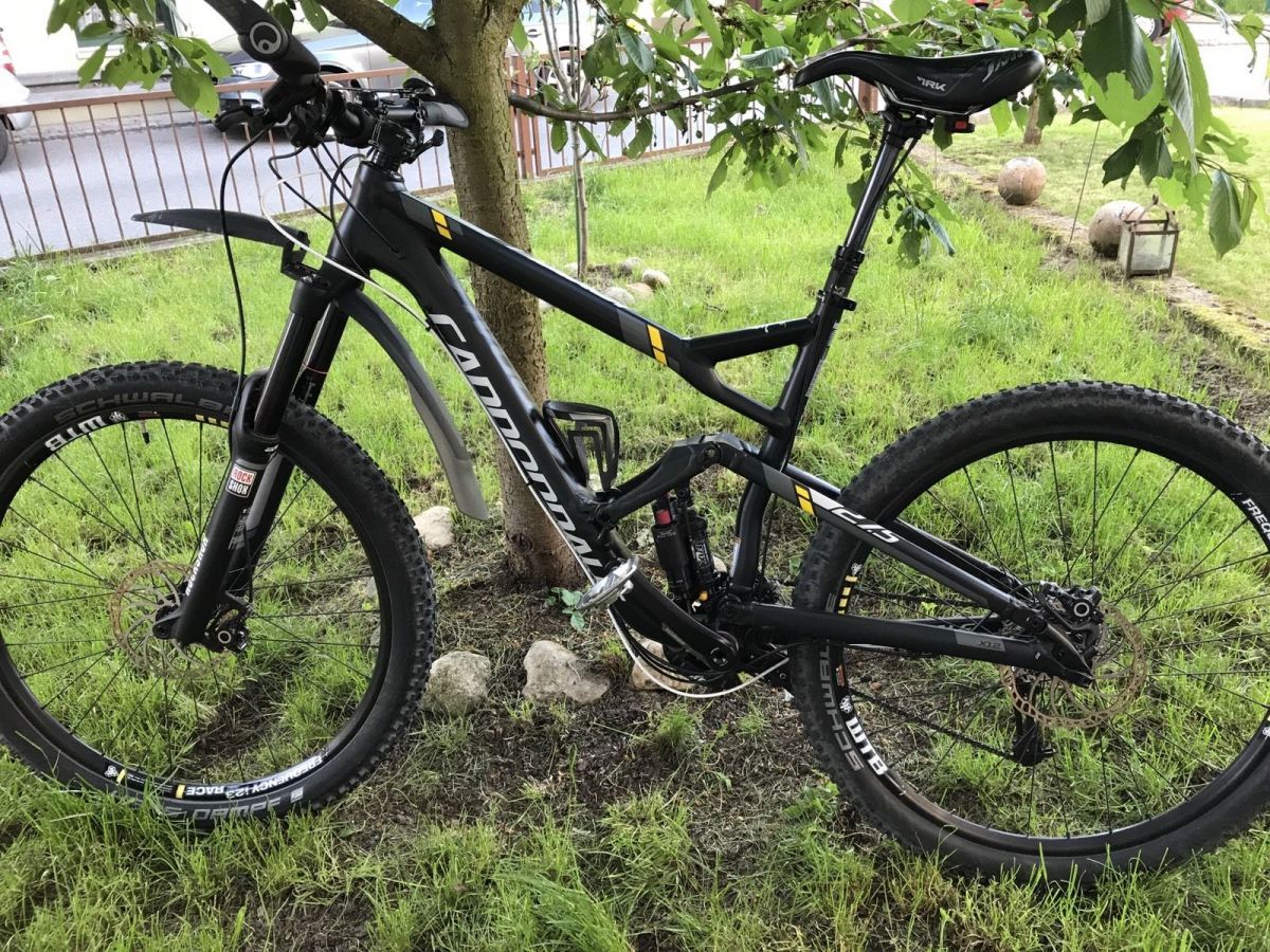 cannondale jekyll review 2020