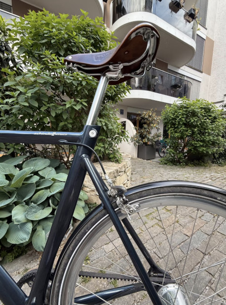Verkaufe: Schindelhauer Ludwig VIII (Gates Carbon Drive)