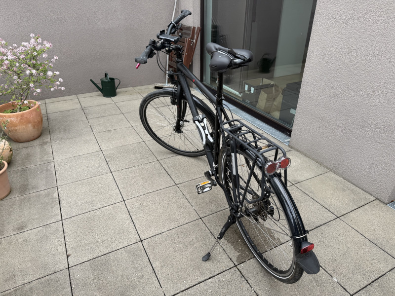 Raleigh Herren Trekkingrad 28 Zoll | XT/Deore | Top Zustand