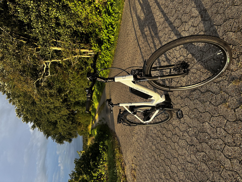 Gudereit Ec-4.5 Ebike