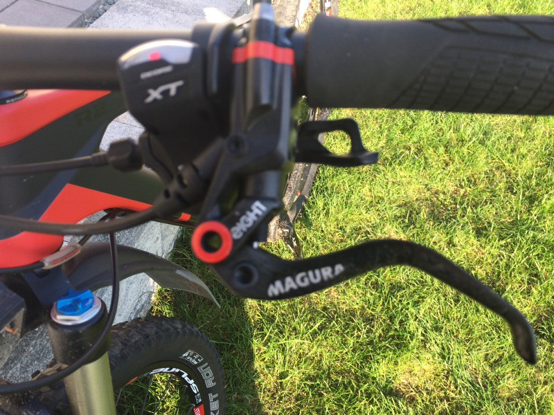 Rotwild R2 29 Hardtail Race L Mountainbike Bike Rad Carbon HT