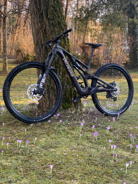 Neuwertig: Specialized Stumpjumper EVO Comp Carbon, kaum gefahren