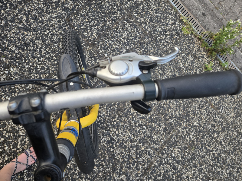 Gelbes Fahrrad von Steppenwolf