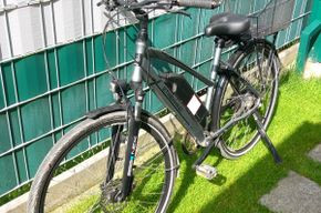 Prophete E-Trekking Bike