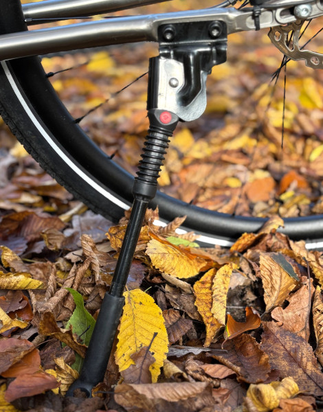 Tannenwald Traumfänger P1.18 – Titan-Randonneur