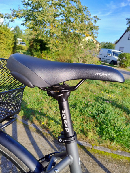 Rabeneick TS5 Urbanrad 28"50