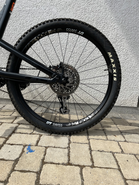 Canyon Spectral AL 6.0 2019 stealth/black  wenig Kilometer