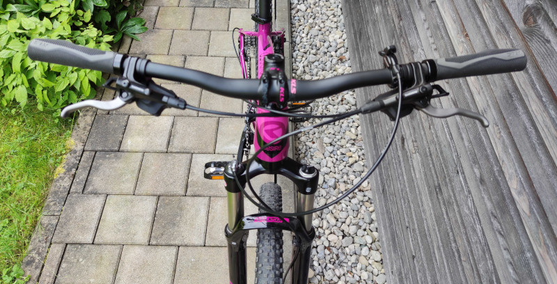 Kellys Desire 50, Größe M